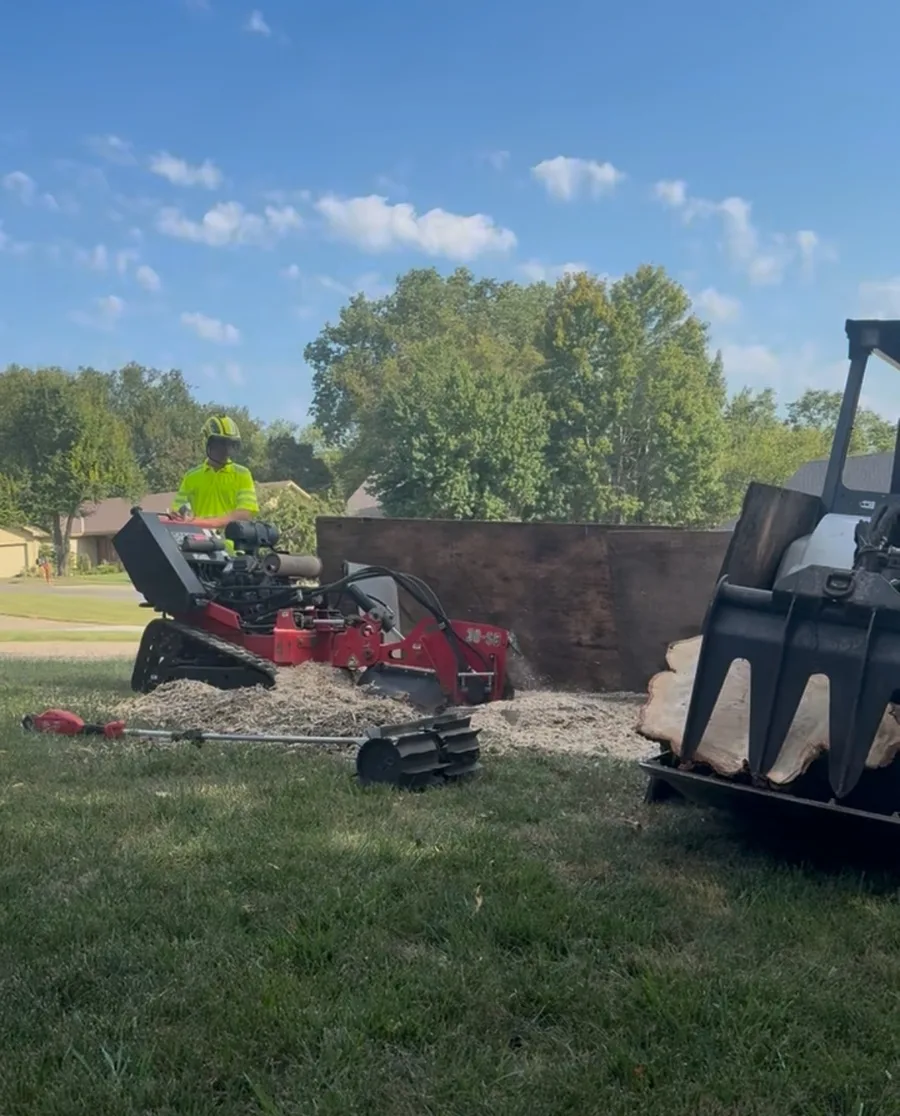 The Tree Guy LLC crew member running a tracked stump grinder on a residential lawn