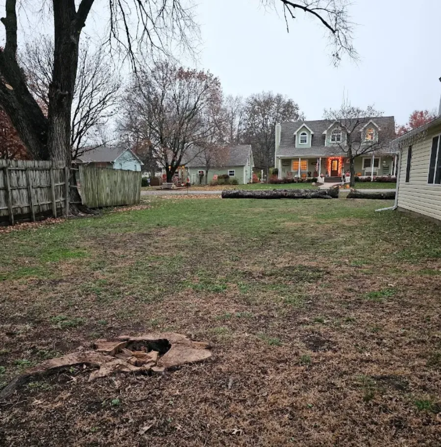 Stump ground below grade in a cleared residential backyard
