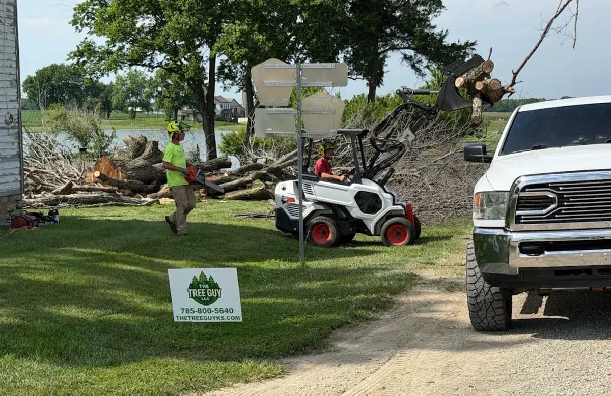 Tree Guy job site with crew, loader, brush pile, truck and yard sign
