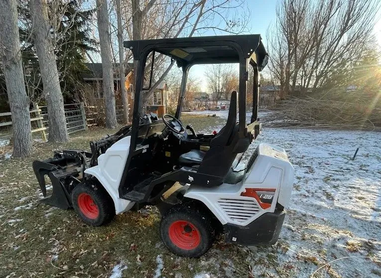 Tree removal and trimming work by The Tree Guy LLC in Johnson County, Kansas